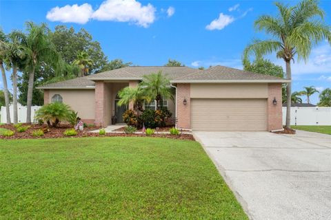 Photo of 3901 Sandalwood Drive, Land O Lakes, FL 34639 (MLS # W7876943)