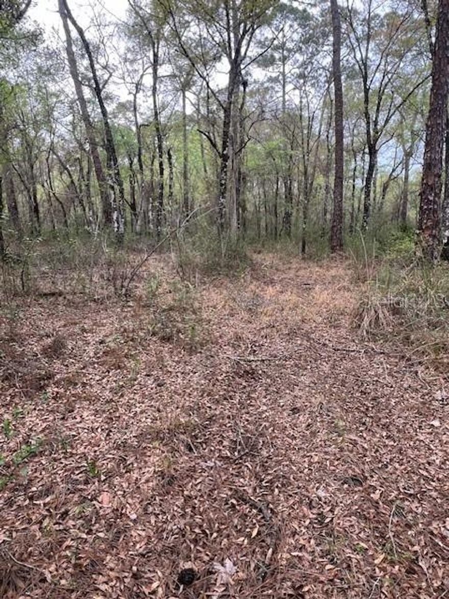 Own a gorgeous 1.17 Acres of buildable land in the country but near the city, subdivision of Ridge Manor. Growing rapidly in development. A lot of the property has been cleared internally. Does require land leveling. Large trees were left for buyers discretion. Very close to gas stations, and eateries. Build your dream home on this property!