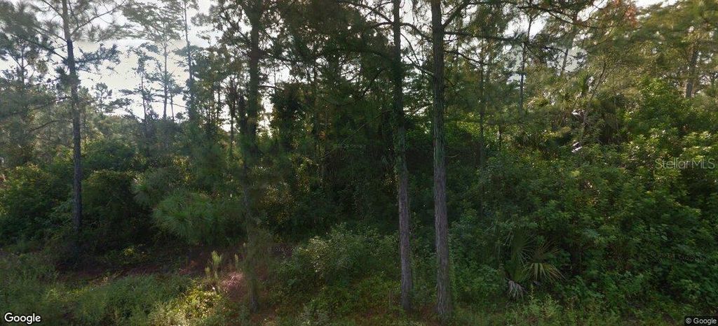 Photo of 843 Ontario Avenue S, Lehigh Acres, FL 33974 (MLS # O6254448)