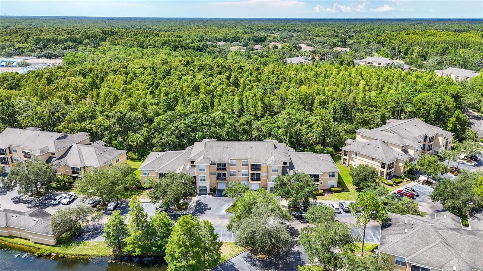 OXFORD PLACE AT TAMPA PALMS A - Residential Lease