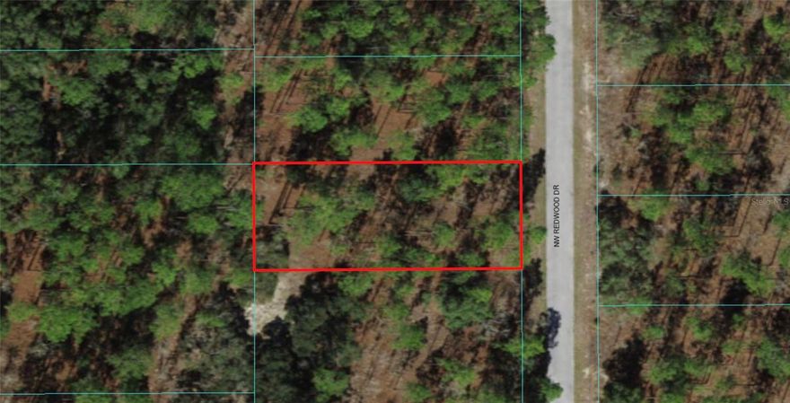 Build your dream home in quiet country surroundings while still being close to all Dunnellon has to offer. This lightly wooded high and dry lot is close to rivers and springs with plenty to do. This one won't last!