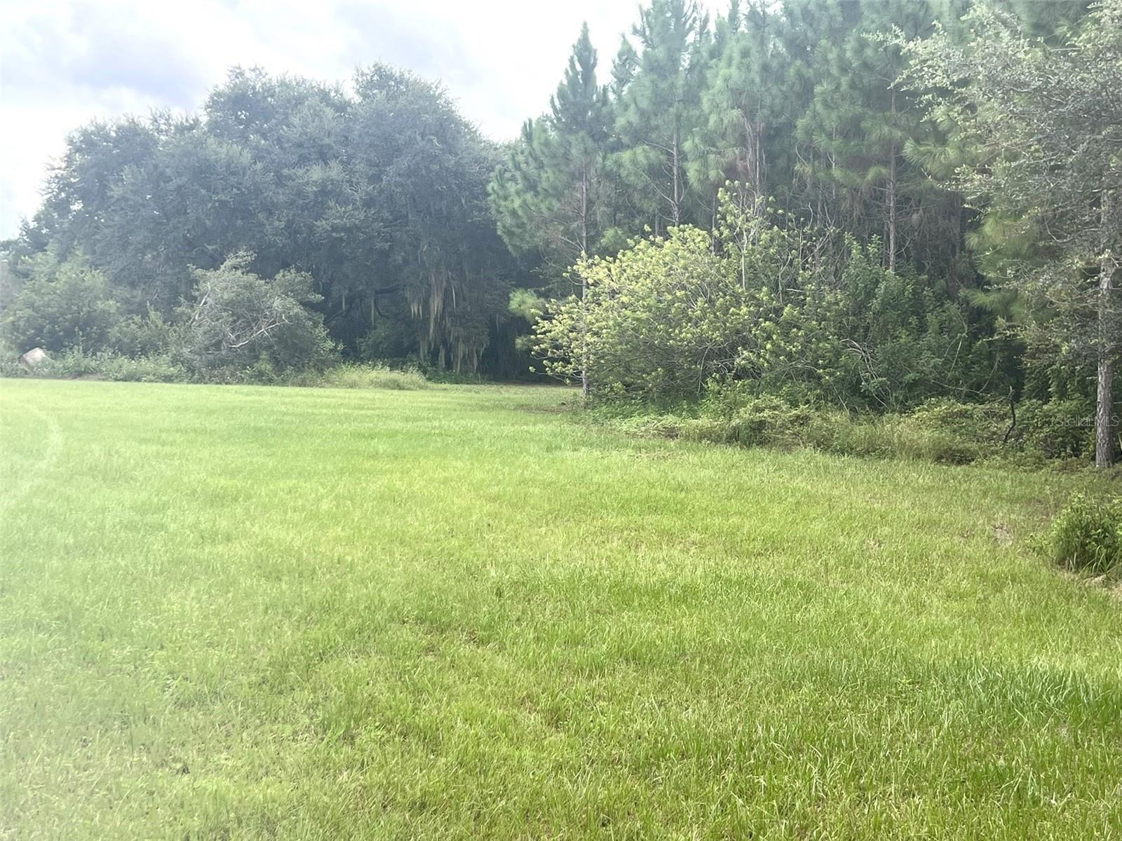 SPIVEY FARMS ROAD