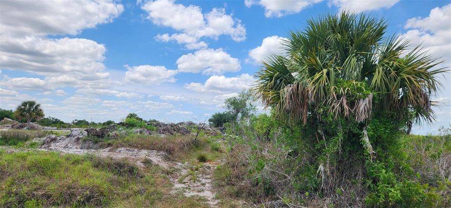 Beautiful Property on a dead end street with Canal access. Ready to build. The Electrical is at the road, and you have 1.25 acres for a blank canvas. No HOA and no deed restrictions.