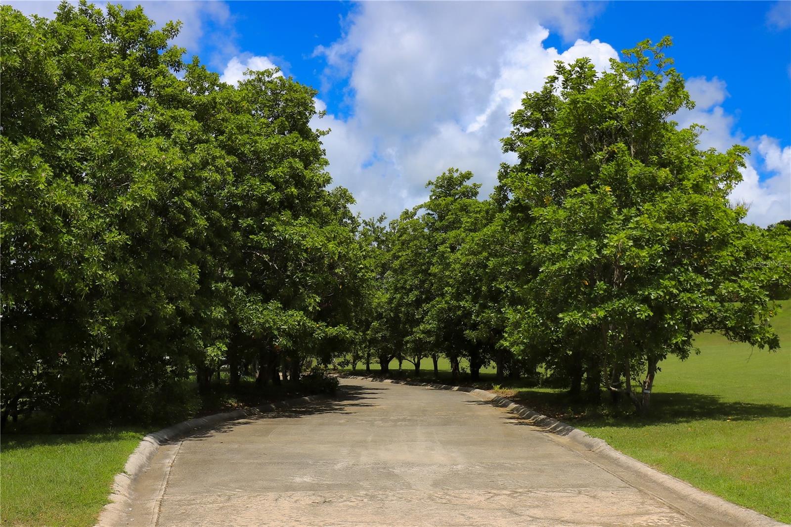 HACIENDA DON PEDRO - Residential