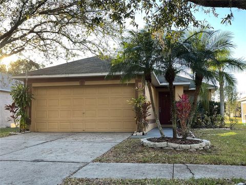 18116 PORTSIDE STREET TAMPA FL 33647