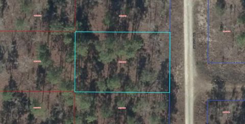 Photo of 00 NE 151st Avenue, Williston, FL 32696 (MLS # OM724722)