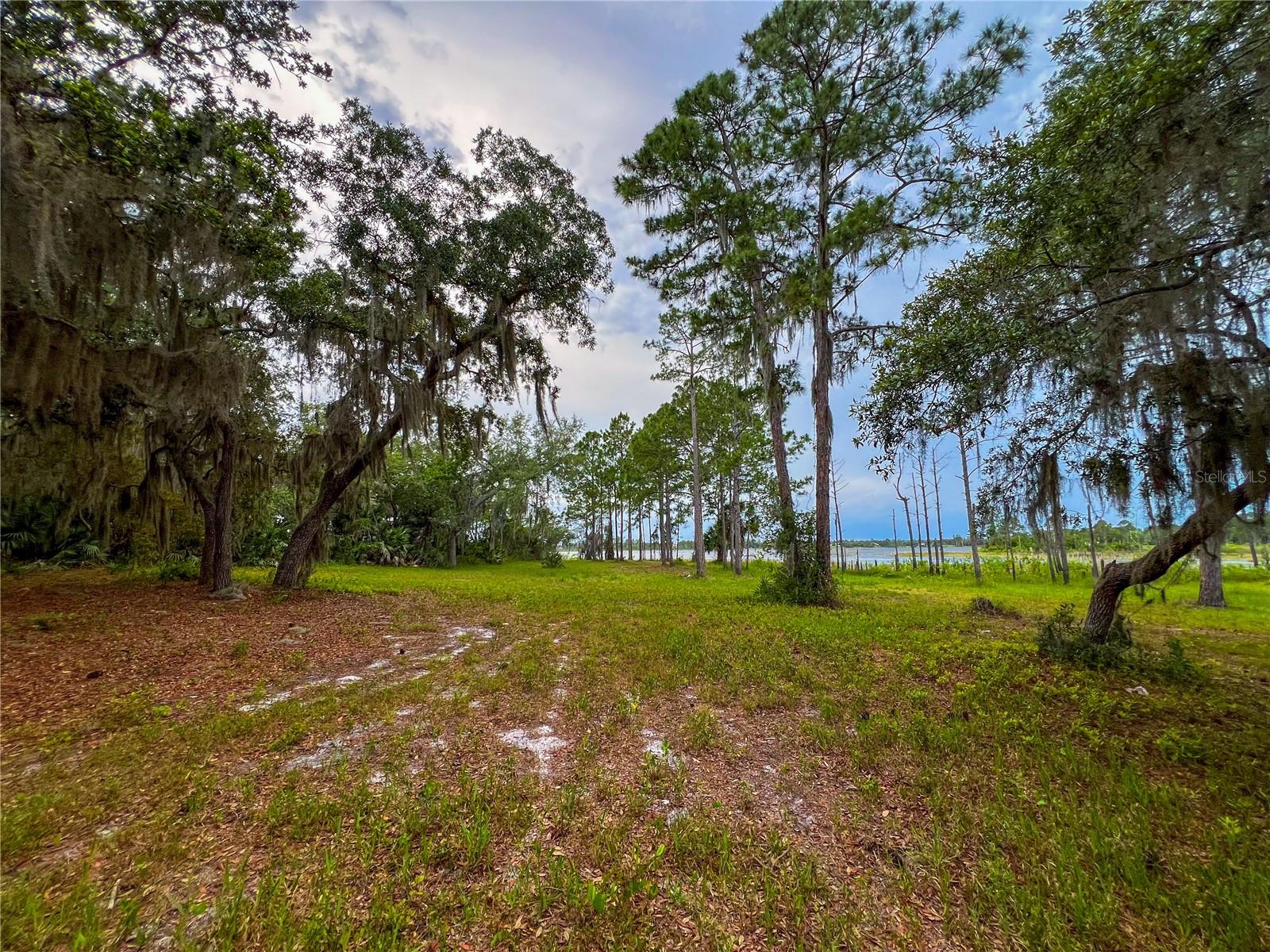 2332 MITCHELL ISLAND ROAD