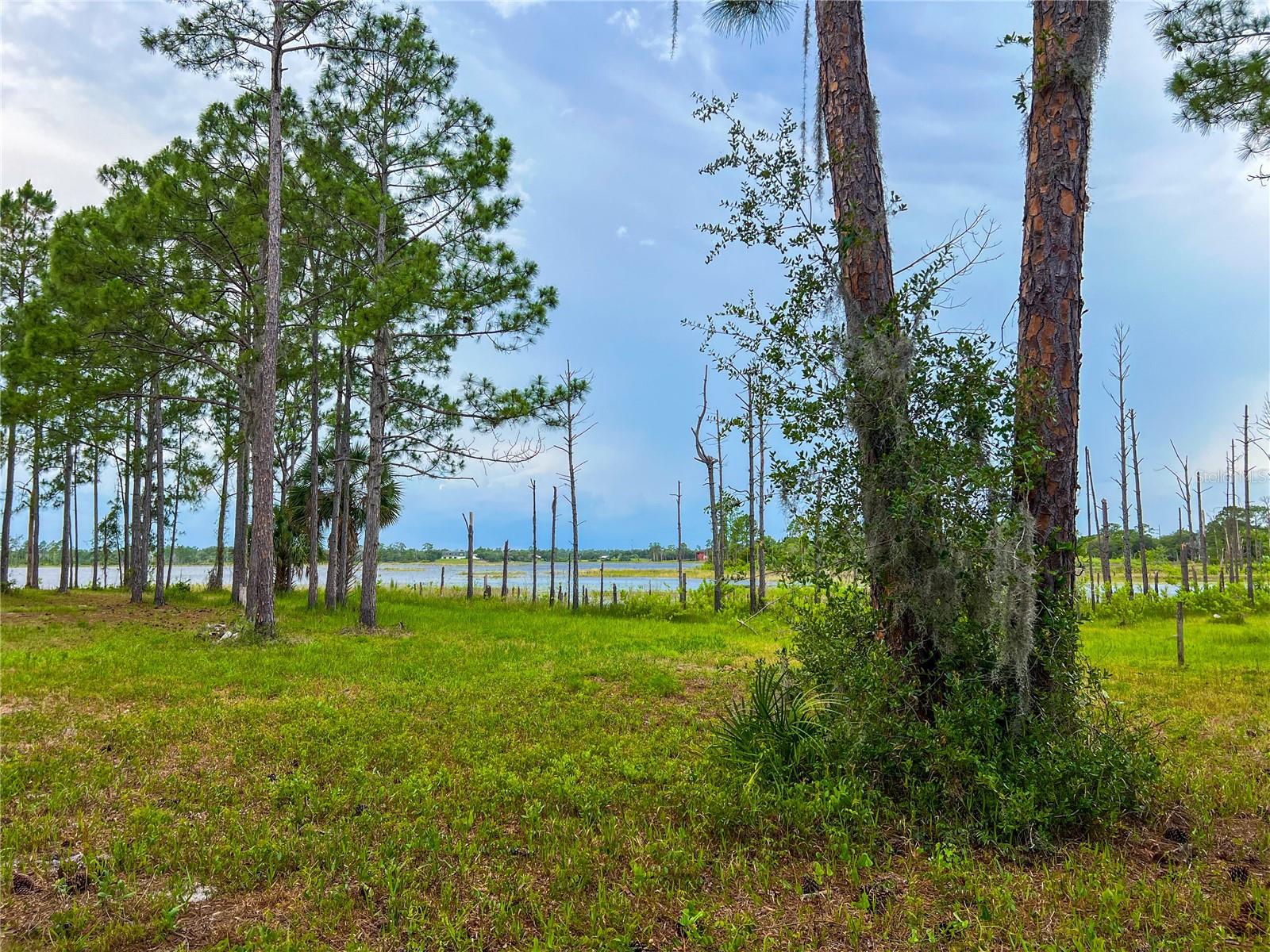 2332 MITCHELL ISLAND ROAD