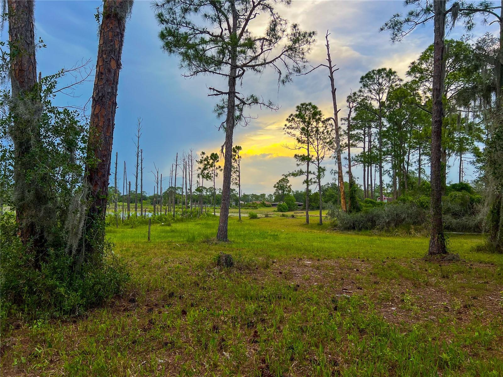 2332 MITCHELL ISLAND ROAD