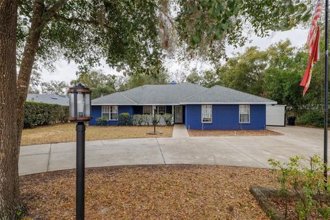 420 PINEAPPLE STREET ORANGE CITY FL 32763