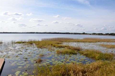 Tiny photo for 6877 Wilson Hammock Avenue, Groveland, FL 34736 (MLS # O6371217)