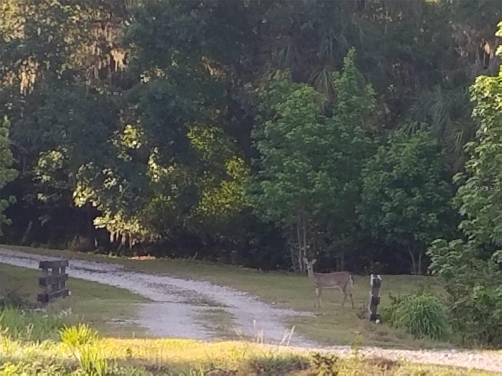 FISHHAWK RESERVE - Land