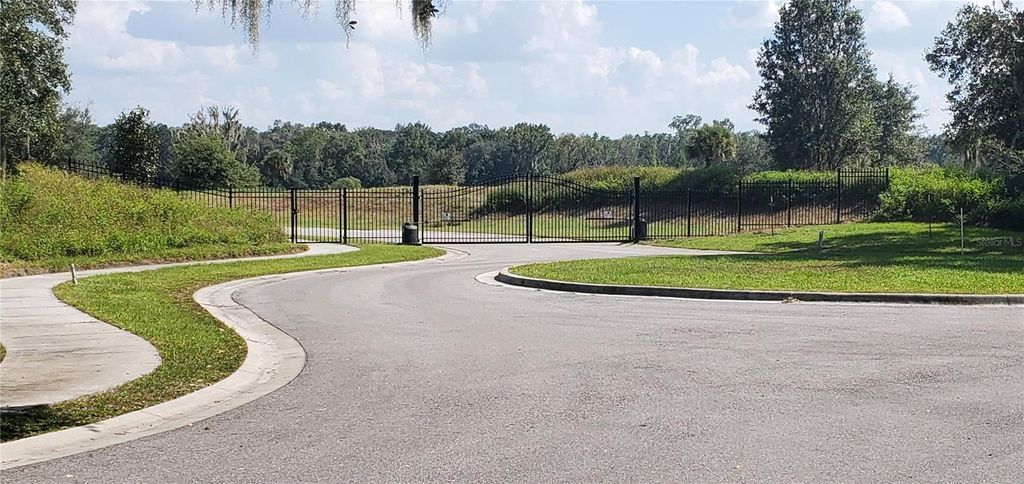 Photo of 15311 Fishhawk Heights Run, Lithia, FL 33547 (MLS # TB8457496)