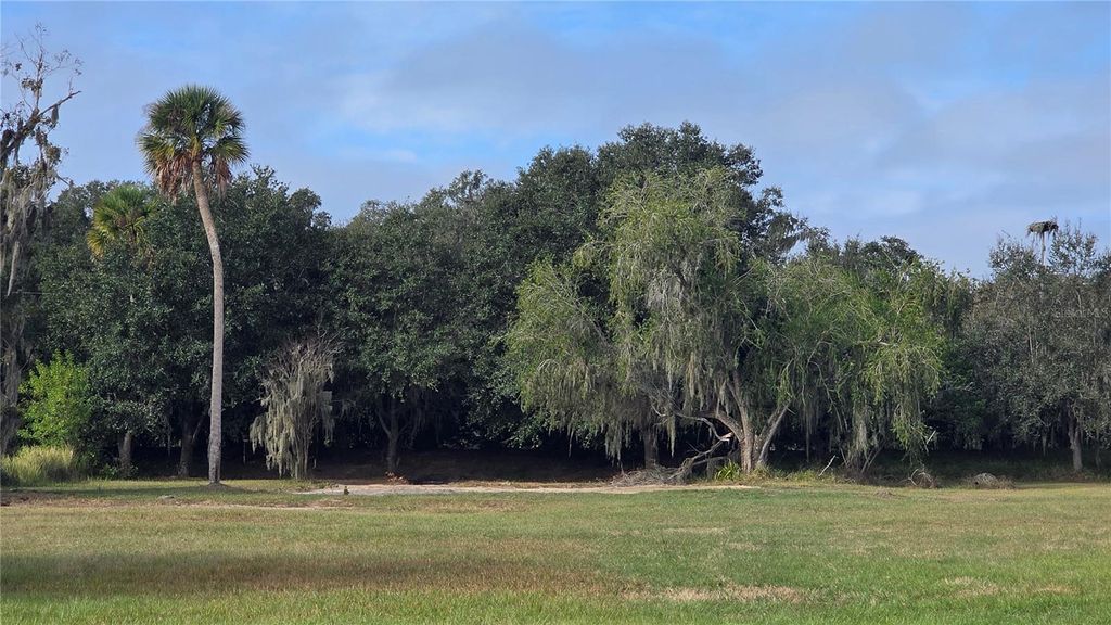 Photo of 15311 Fishhawk Heights Run, Lithia, FL 33547 (MLS # TB8457496)