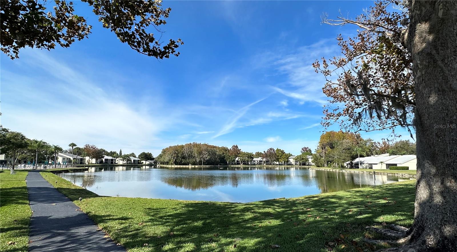 PINE RIDGE AT LAKE TARPON VILLAGE - Residential