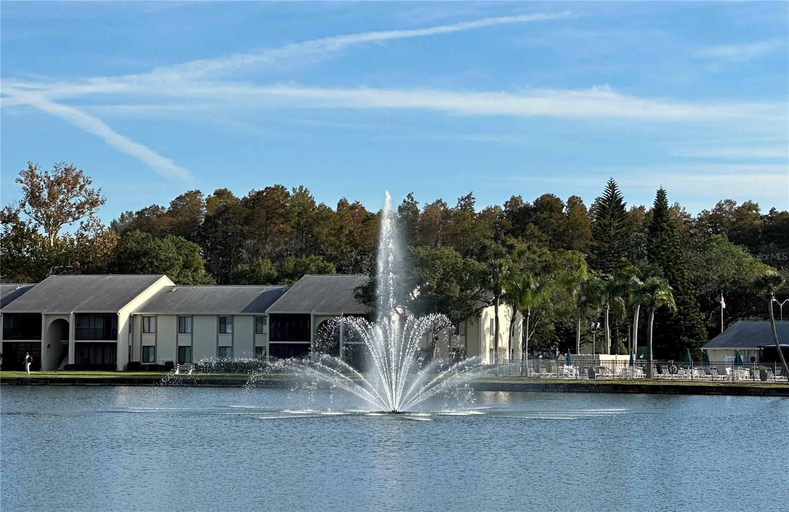 PINE RIDGE AT LAKE TARPON VILLAGE - Residential