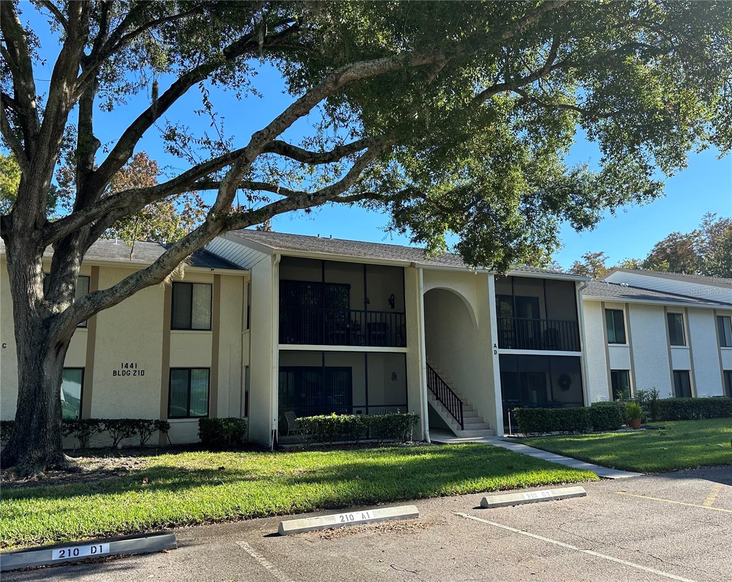 PINE RIDGE AT LAKE TARPON VILLAGE - Residential