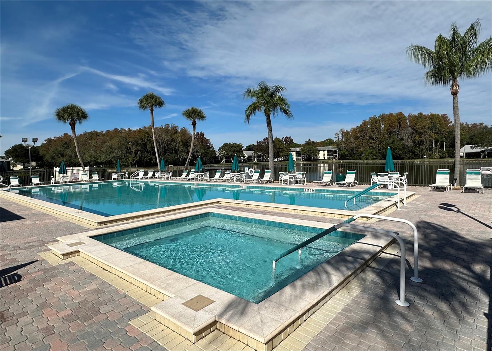 PINE RIDGE AT LAKE TARPON VILLAGE - Residential