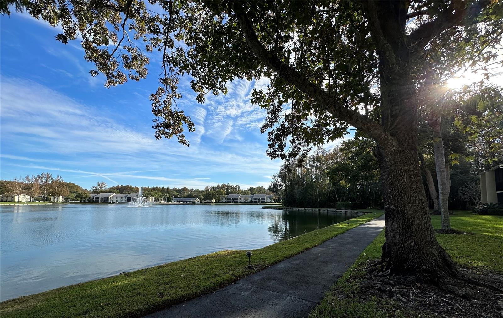 PINE RIDGE AT LAKE TARPON VILLAGE - Residential