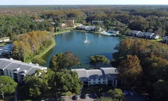 PINE RIDGE AT LAKE TARPON VILLAGE - Residential