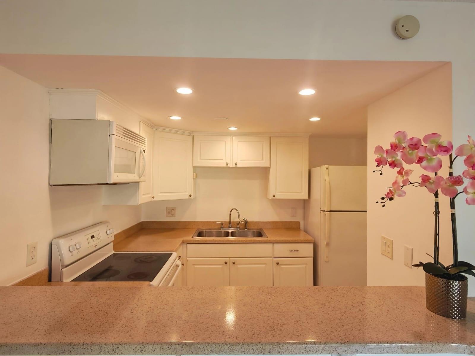 THE TAMPA RACQUET CLUB A CONDO - Residential