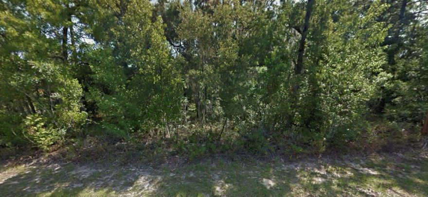 Discover the perfect opportunity to build your dream home or investment property on this spacious 0.54-acre corner lot, located in the peaceful and growing community of Citrus Springs, FL. Situated on a quiet street, this property offers the perfect balance of privacy and convenience.

With ample space to design your ideal home, this level, buildable lot provides endless possibilities for construction, landscaping, or outdoor living. The property is zoned for residential use, allowing for a single-family home or mobile home, and is ready for development with easy access to utilities (buyer to verify).

Citrus Springs is known for its natural beauty and relaxed lifestyle, offering residents access to nearby parks, recreational facilities, and scenic outdoor areas. Enjoy being just minutes from local shopping, dining, and schools, with major roadways like US-41 and the Suncoast Parkway providing a quick route to Crystal River, Inverness, and the Gulf Coast.

This property is ideal for those seeking peace and tranquility while still being close to essential amenities. Whether you're looking to build your forever home, invest in Florida real estate, or enjoy the serenity of the area, this lot on N. Commodore Drive is a rare find.

Seize the opportunity to create your own slice of paradise in Citrus Springs today!