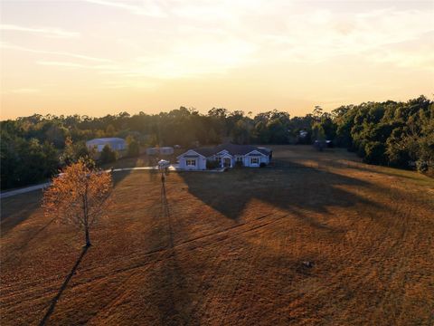 Tiny photo for 4420 NE 7th Avenue, Ocala, FL 34479 (MLS # OM714029)