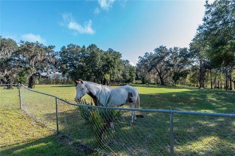 Tiny photo for 15615 NE 21st Avenue Road, Citra, FL 32113 (MLS # OM688241)