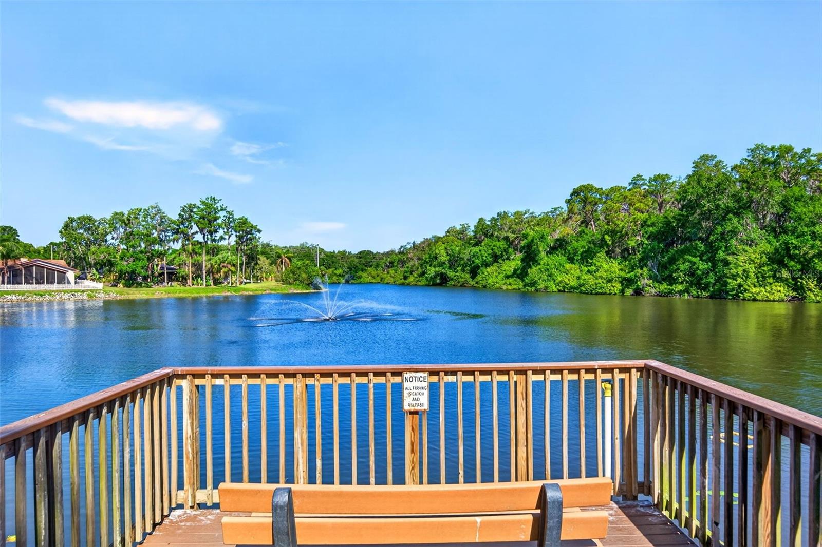 MANORS OF FOREST LAKES THE - Residential
