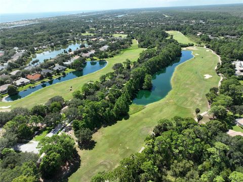 A home in PALM COAST