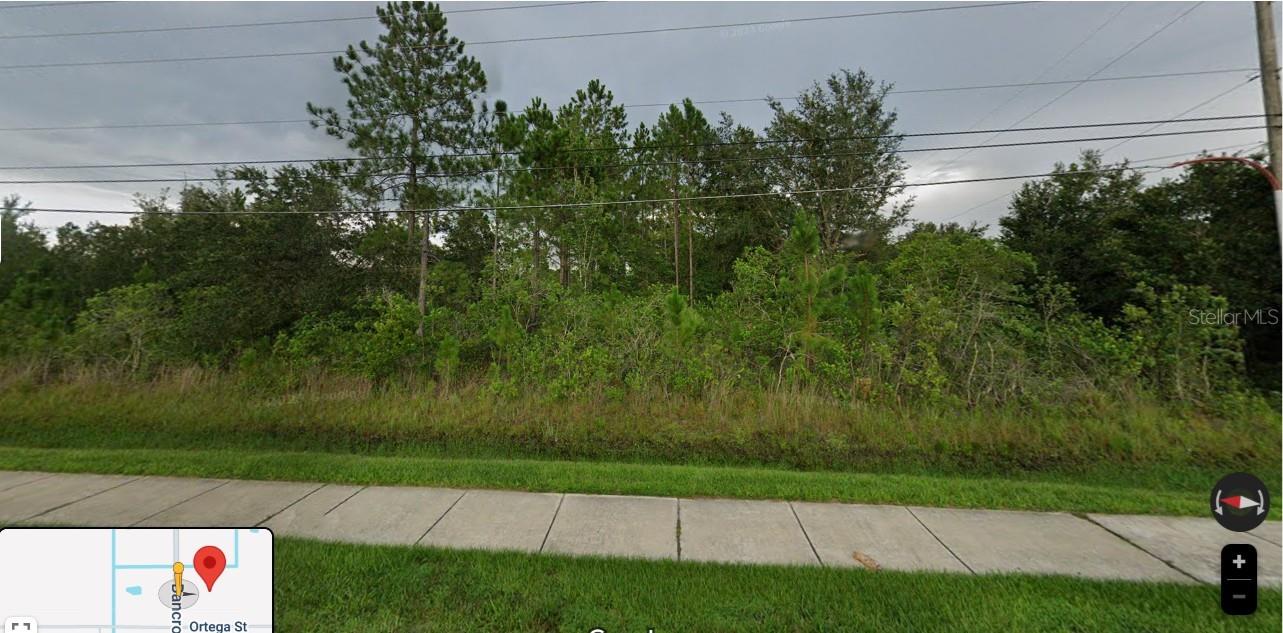 Here is a huge opportunity for a 2+ acre lot located only 20 minutes from the airport, about 30 minutes from the beaches, about 15 minutes to major shopping and dining and a voluntary HOA with only minor recorded deed restrictions. This lot has 2.24 acres with only .22 acres of designated wetlands located in the rear of the lot. You will have minimal to no utility costs as you will have well, septic, and if you choose solar, very inexpensive utility costs. Homes start at 1750 sq feet up to and over 10,000 sq feet. The price of land in this area has grown exponentially over the last few years with some lots up over 300% in last 5 years. Now is the time to buy land as there is no more being made and neighborhoods with estate sized lots located so convenient to major development is a rare find in Central Florida. In Wedgefield, you can have your horse, and in some cases farm animals. Buyer should check with Orange County for recorded deed restrictions. The listing agent is the only Accredited Land Consultant serving Wedgefield and can thoroughly educate buyers on exactly what can be built, and even find the perfect builder for your future home. This property already has it's survey, soil report, wetlands report, and CAD with Orange County. These reports alone are over a $6000 value provided with the purchase of the land by the seller.