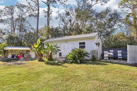 A home in DELAND