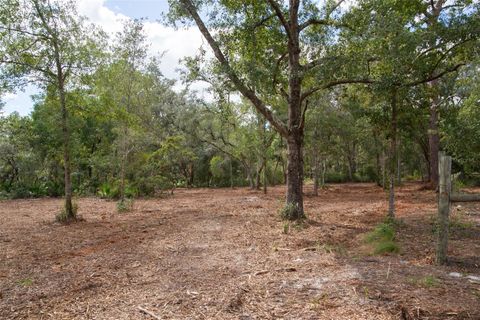 Tiny photo for 14042 NE 110th Street, Fort Mccoy, FL 32134 (MLS # OM708945)