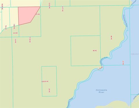 Tiny photo for 14042 NE 110th Street, Fort Mccoy, FL 32134 (MLS # OM708945)