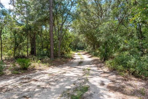 Tiny photo for 14042 NE 110th Street, Fort Mccoy, FL 32134 (MLS # OM708945)