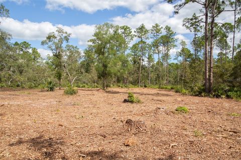 Tiny photo for 14042 NE 110th Street, Fort Mccoy, FL 32134 (MLS # OM708945)