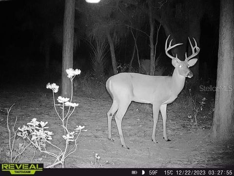 Tiny photo for 14042 NE 110th Street, Fort Mccoy, FL 32134 (MLS # OM708945)