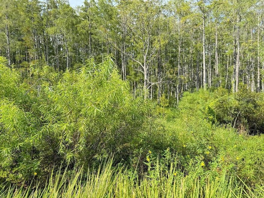 back to the market...MUST BE SOLD...SELLER DRASTICALLY LOWERED THE LISTING PRICE...40+ acres  IN  POLK COUNTY.  7 miles to I-4 , hospital, shopping center and easy access  to I-27 for about 3 miles to subdivision area.  Must check and see for more possibility. seller got no information re. wet land and zoning of the land . please call zoning dept.  in POLK county if you are interested.