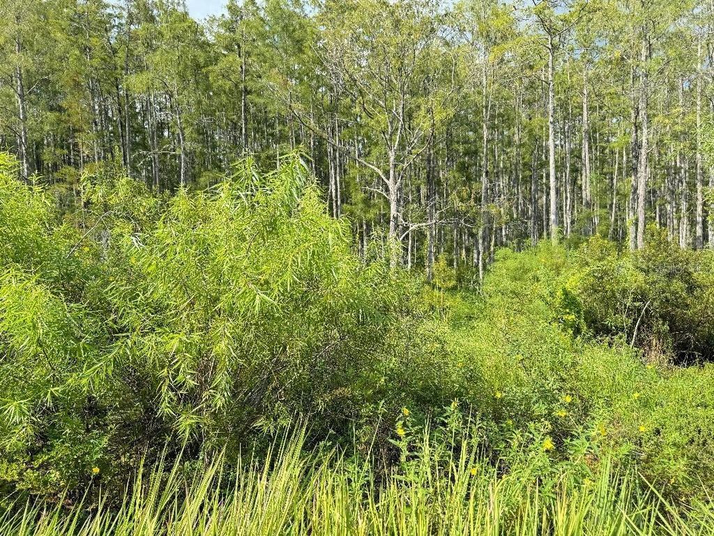 Photo of Old Polk City Road, Haines City, FL 33844 (MLS # O6240724)