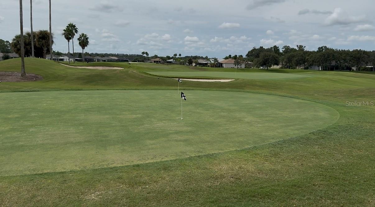 TAMPA BAY GOLF AND TENNIS CLUB - Residential
