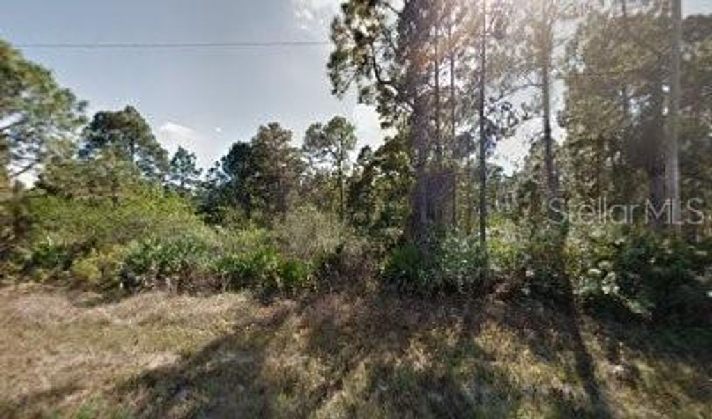 Photo of 1118 Cove Street E, Lehigh Acres, FL 33974 (MLS # O6339370)