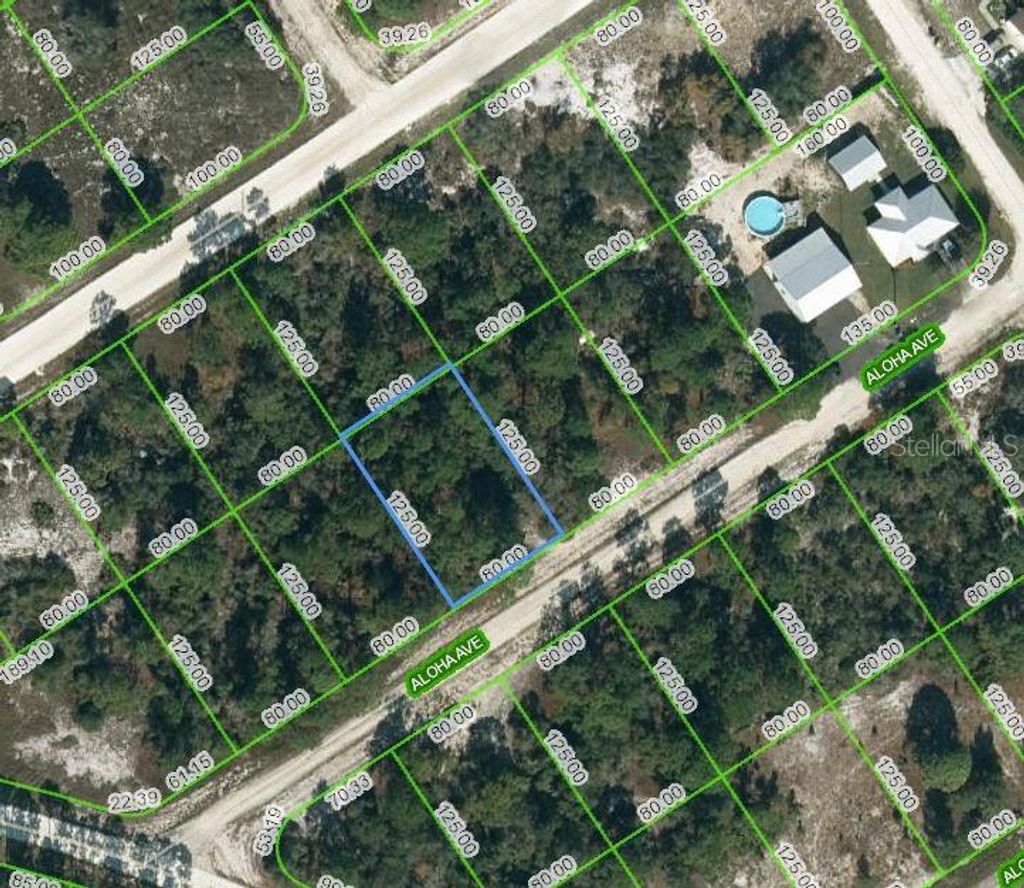 Photo of 450 Aloha Avenue, Lake Placid, FL 33852 (MLS # OM624395)