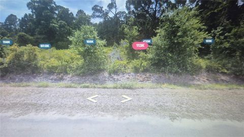 1450 S OLSEN ROAD AVON PARK FL 33825