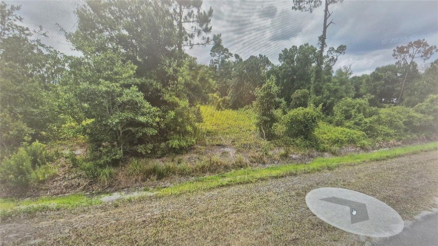 Seize the opportunity to own 1.14 acres of beautiful Florida land in the growing community of Avon Park, priced below market value! This rare find offers exceptional potential for builders, investors, or first-time buyers to build a single-family home or a container/modular home. Or simply hold the land as a smart long-term investment for future appreciation. Enjoy no HOA, utility access, and a convenient location close to amenities, restaurants, and shopping centers. Whether you're looking to build your dream home, invest in future development, or own a peaceful slice of countryside, this versatile property offers freedom and flexibility in one of Florida's emerging areas.