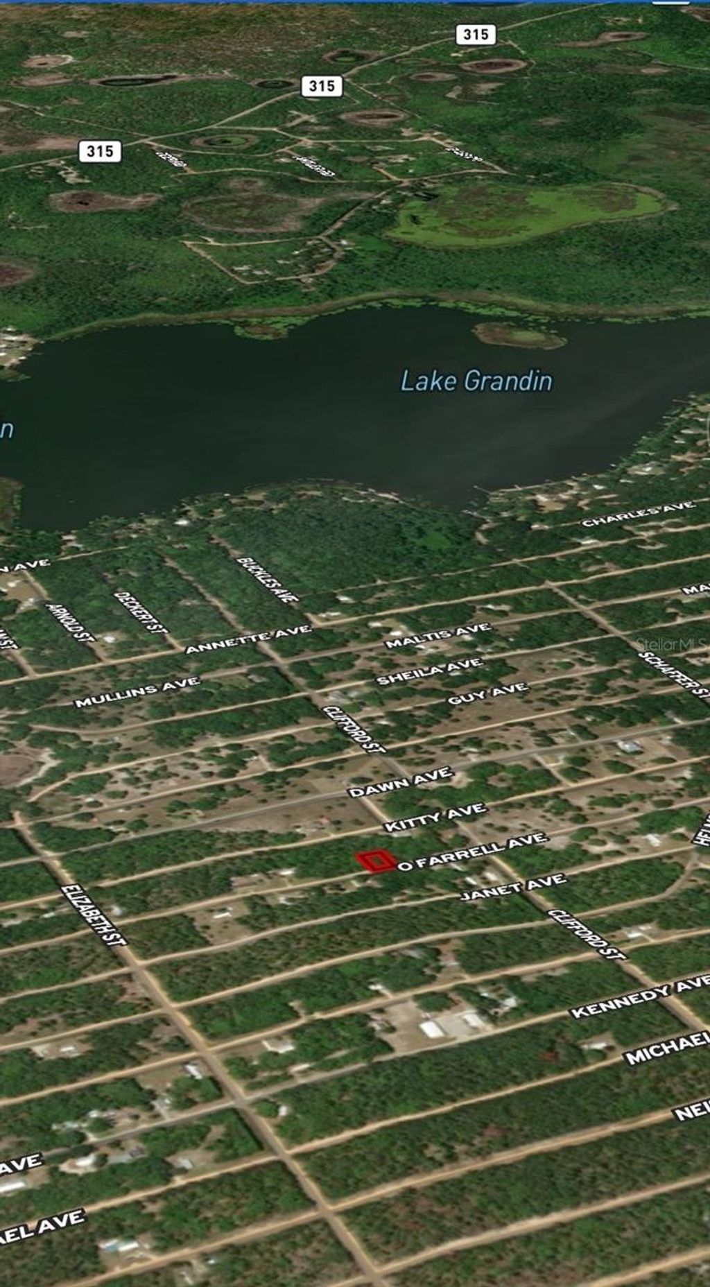 Photo of 32 Offarrel Drive, Interlachen, FL 32148 (MLS # OM710325)