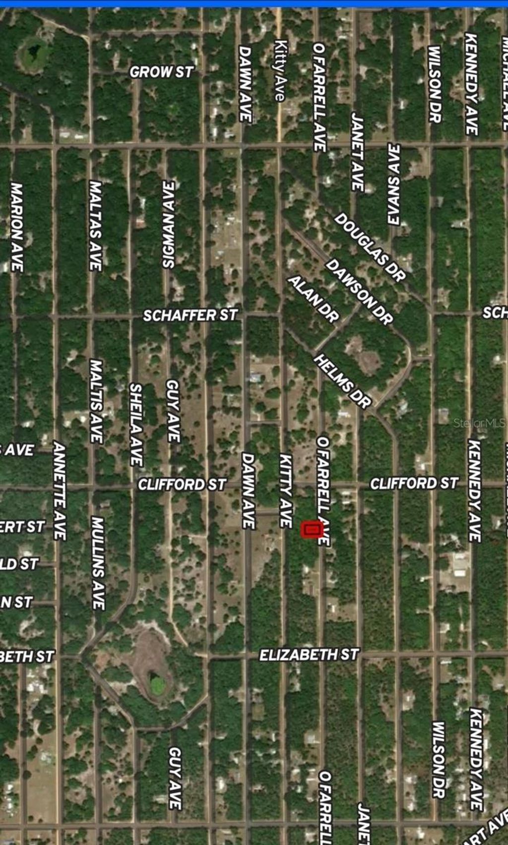 Photo of 32 Offarrel Drive, Interlachen, FL 32148 (MLS # OM710325)
