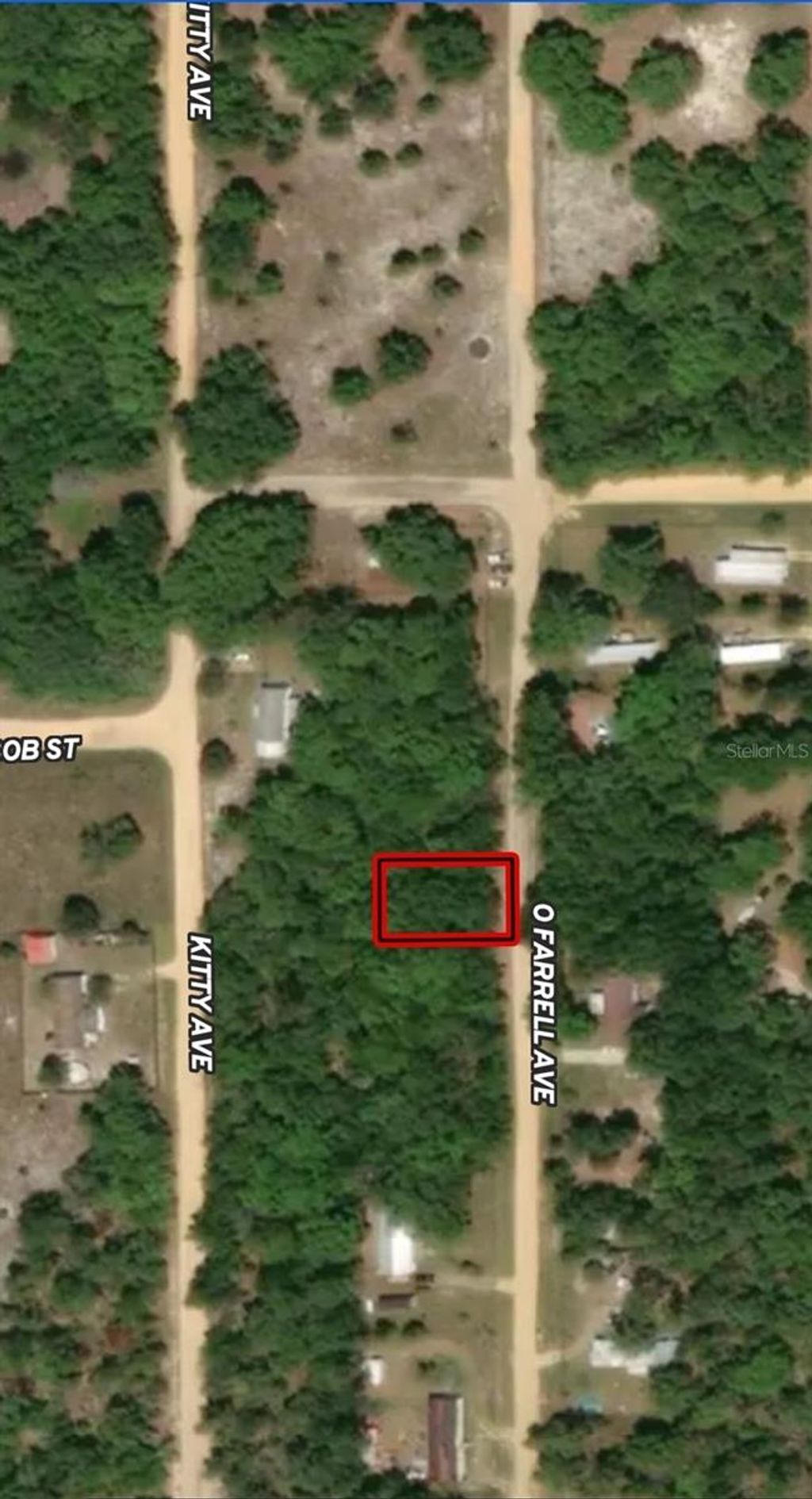 Photo of 32 Offarrel Drive, Interlachen, FL 32148 (MLS # OM710325)