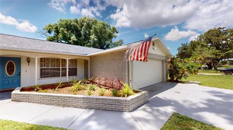 A home in VALRICO