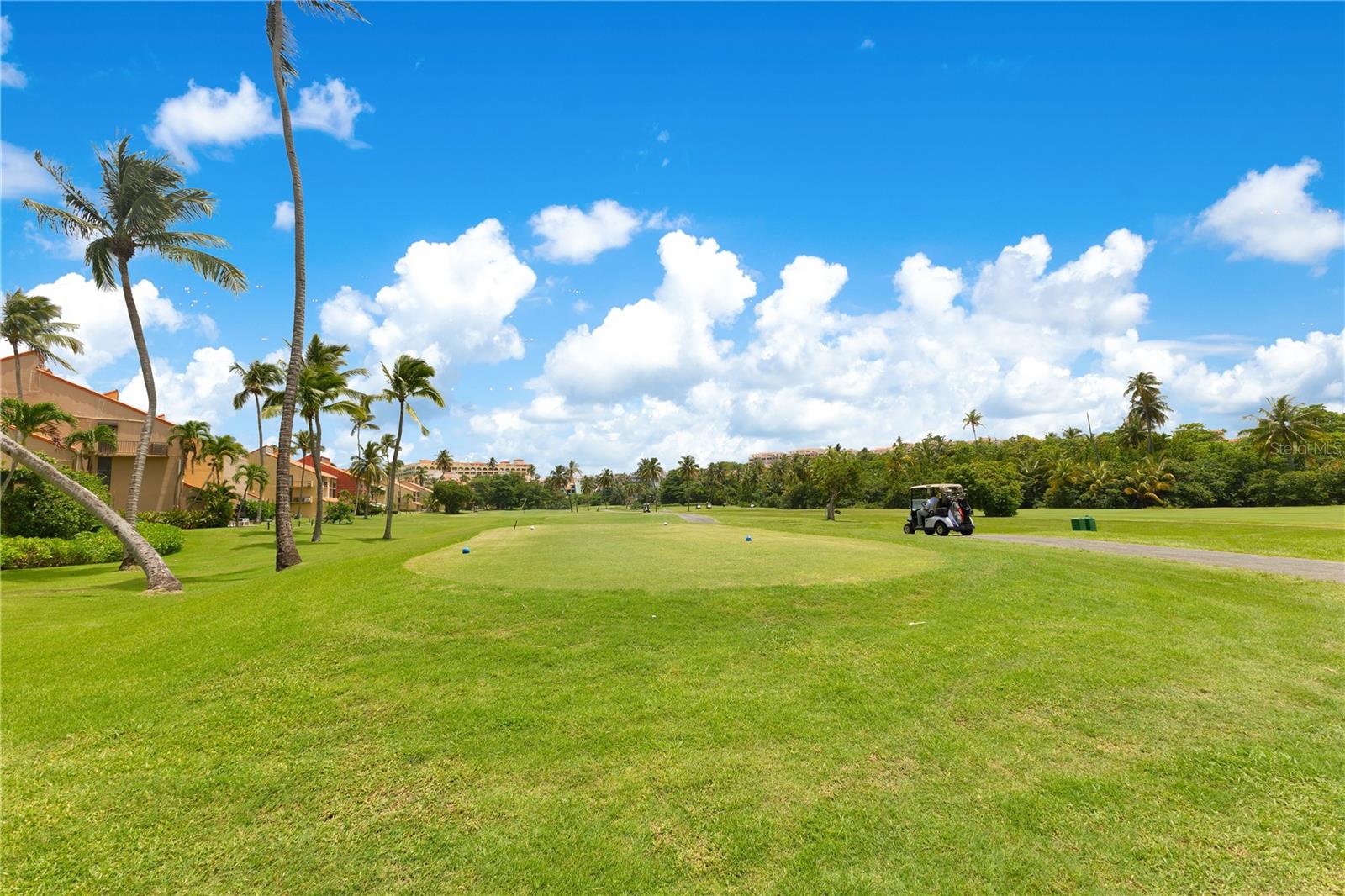 PALMAS DEL MAR - Residential