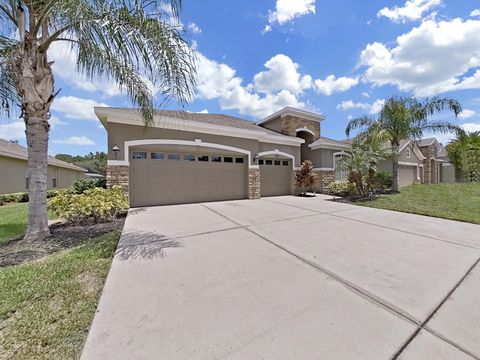 A home in WESLEY CHAPEL